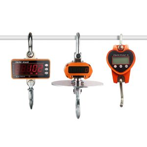 CRANE SCALE